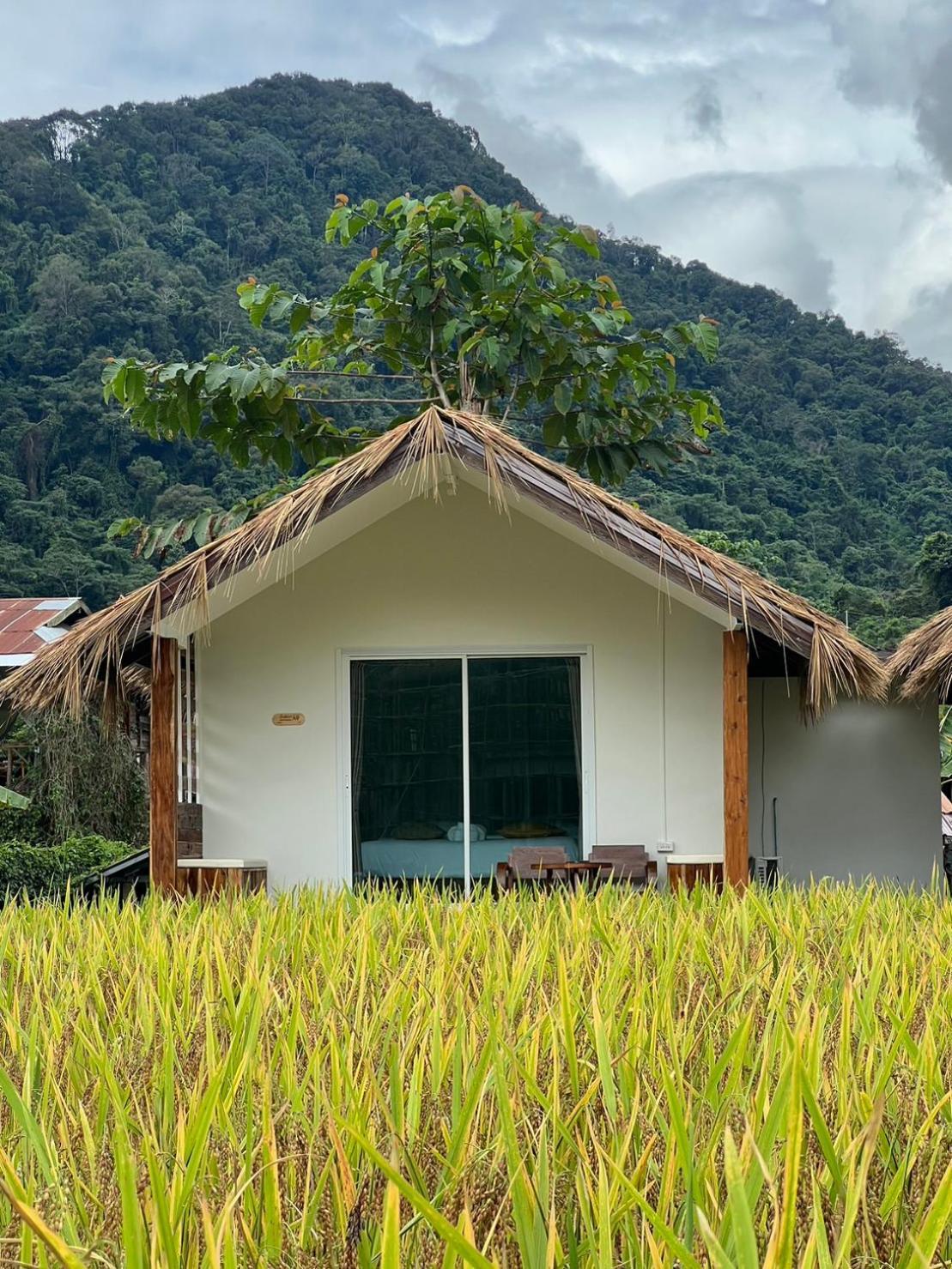 สะปันดีวิว Sapan Dee View บ่อเกลือ น่าน Apartment Ban Huai Ti ภายนอก รูปภาพ